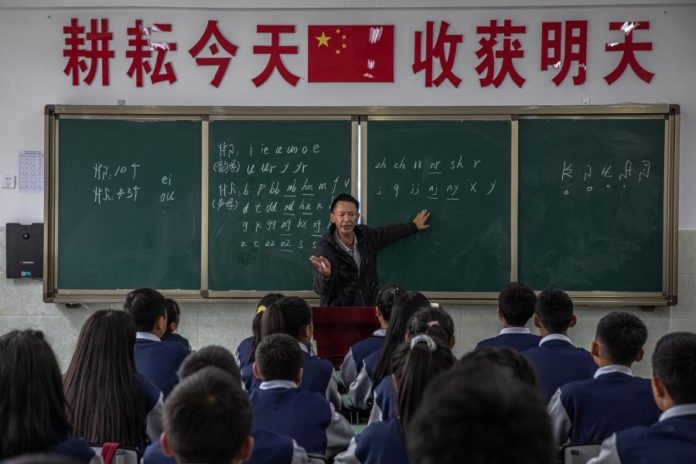 29641144.jpg
