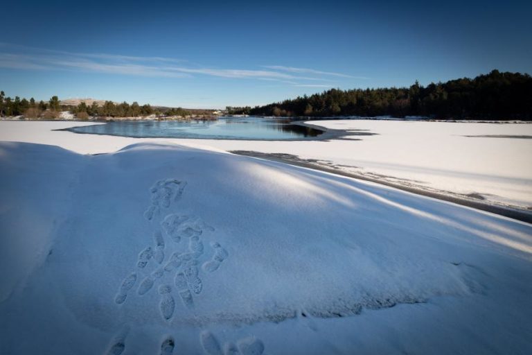 Guarda e Castelo Branco sob aviso amarelo devido à queda de neve