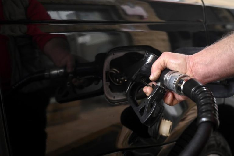 Crise/Energia: Parlamento aprova proposta do Governo para mitigar preços energéticos a agroalimentares