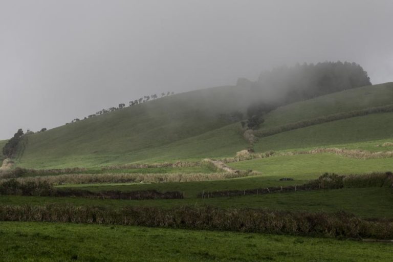 Açores/Sismos: Cientistas das Canárias em São Jorge para apoiar vigilância vulcânica