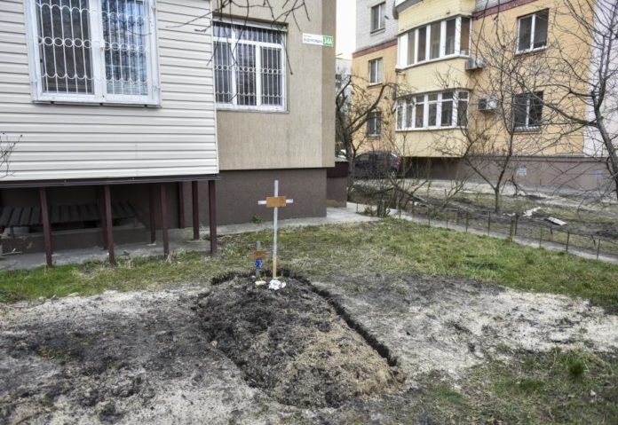 37711949.jpg