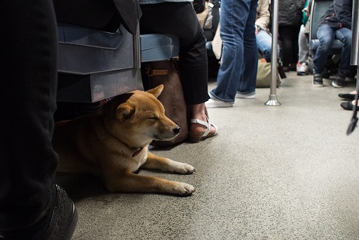 Foto: Flickr