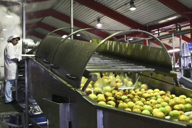 Rede PAN Europa contra pesticidas perigosos acusa ministra de enganar consumidores