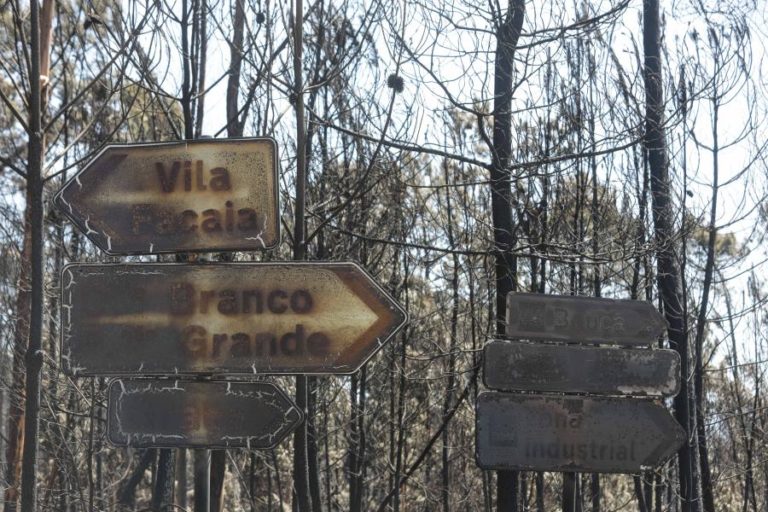 Pedrógão Grande: Alegações finais do processo dos incêndios começam na quarta-feira