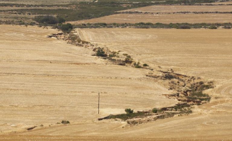Líderes africanos fazem “apelo urgente” a investimentos rentáveis no ambiente