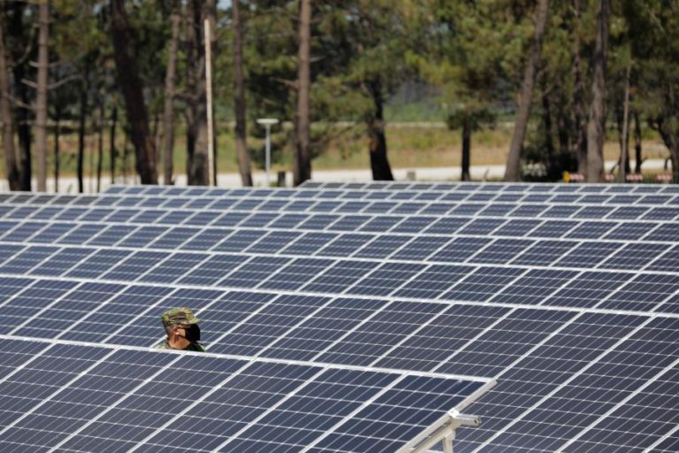 Coligação de organizações de ambiente alerta para desregulamentação das expansão das renováveis