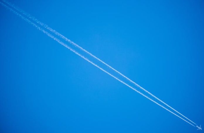 35875448.jpg