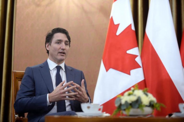 Governo do Canadá quer congelar mercado de armas de fogo pessoais