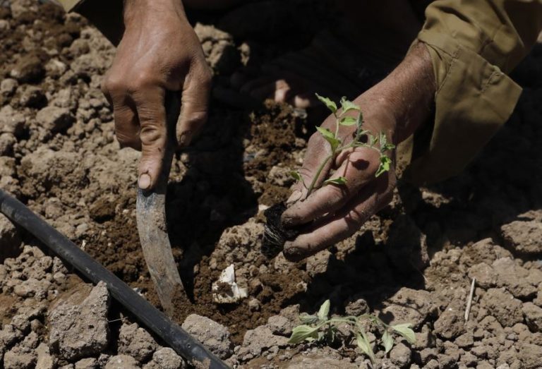 Fome atinge 16,7 milhões de pessoas no Corno de África