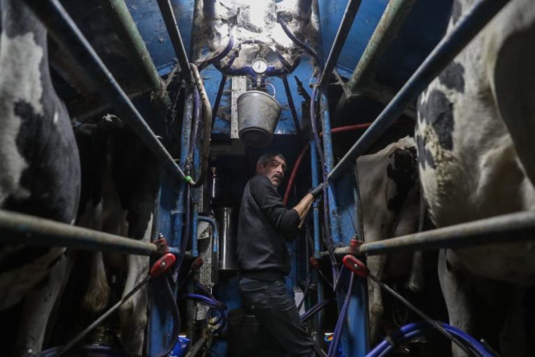 Açores/sismo: Empresários de São Jorge querem “apoios imediatos à liquidez” das empresas