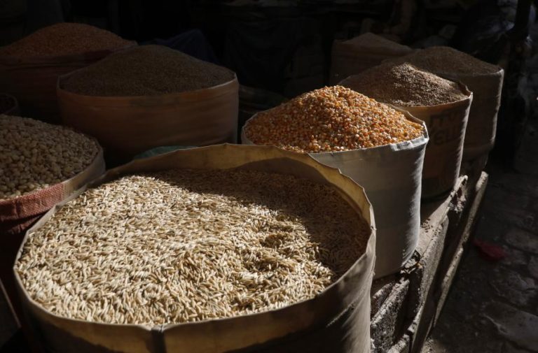 Rússia diz-se “pronta” para ajudar a uma exportação de cereais “sem entraves”