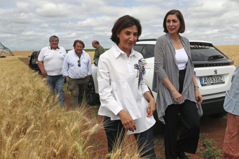 Portugal tem reservas de cereais “para cerca de um mês” — ministra