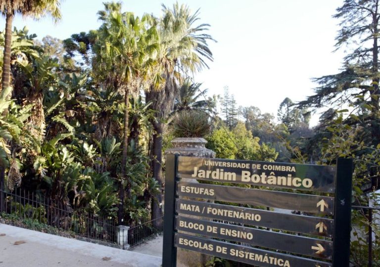 Jardim Botânico acolhe primeira Exposição Internacional de Orquídeas de Coimbra