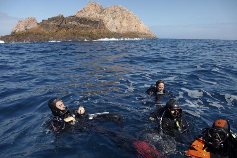 Cada vez mais alunos escolhem estudar o mar no ensino superior