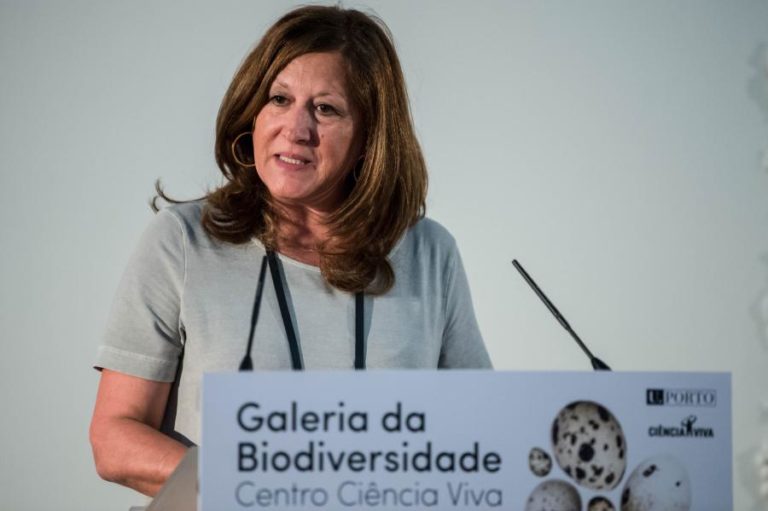 Corte nos professores destacados nas escolas Ciência Viva compromete projetos – presidente