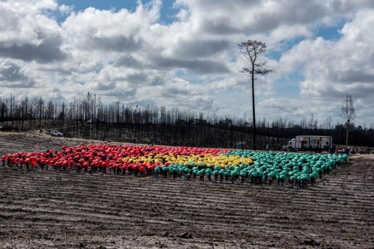 Associação Zero quer medidas para antecipar neutralidade climática para 2045