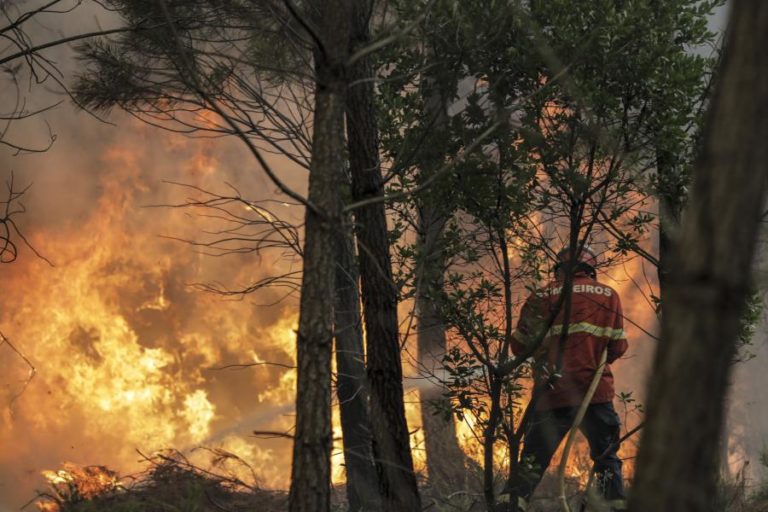 Três concelhos de Faro em perigo máximo de incêndio