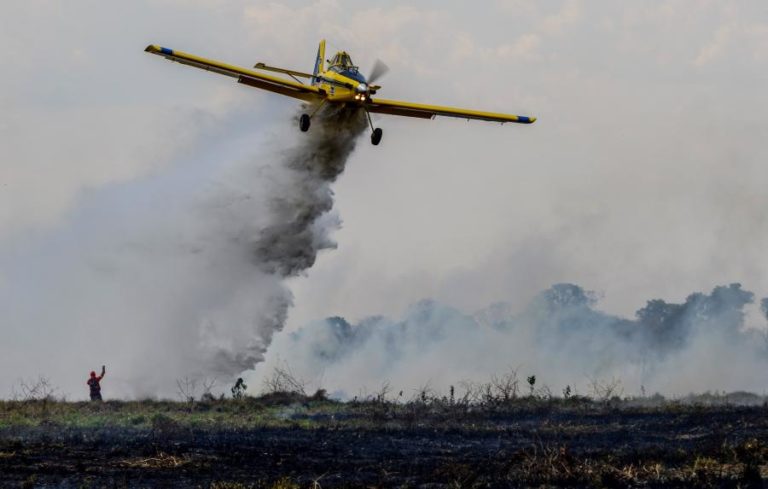 Brasil regista 2.287 focos de incêndio florestais na Amazónia em maio