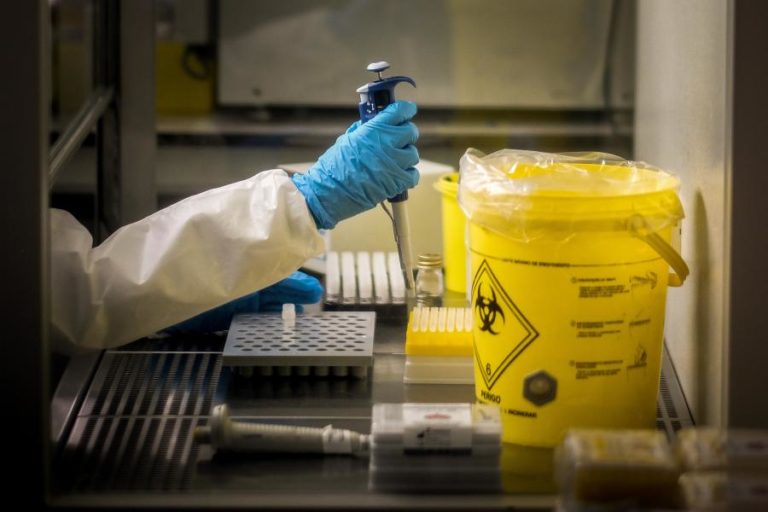 191 casos de Monkeypox confirmados em Portugal