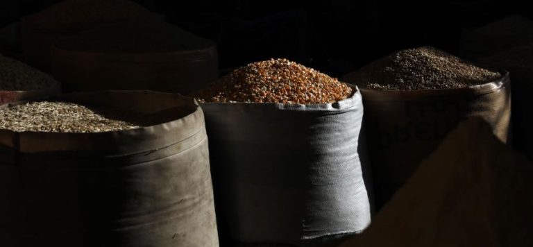 Brasil projeta colheita recorde de grãos de 263 milhões de toneladas em 2022