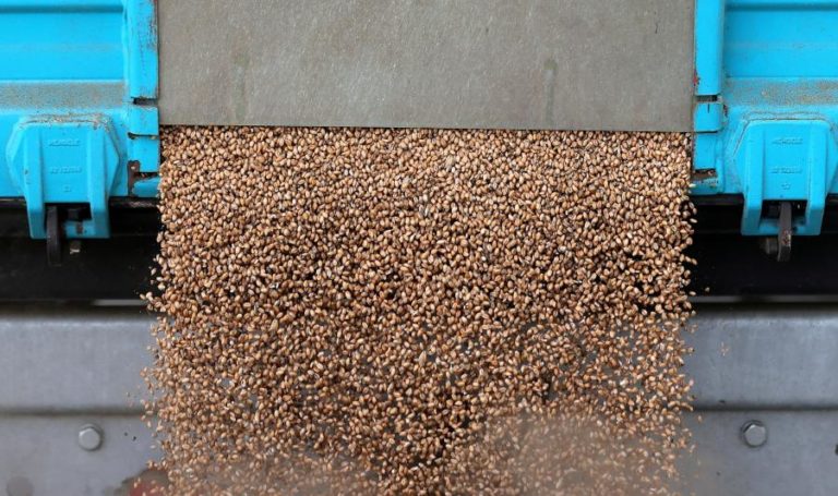 Pró-russos transportam cereais ucranianos de comboio até à Crimeia