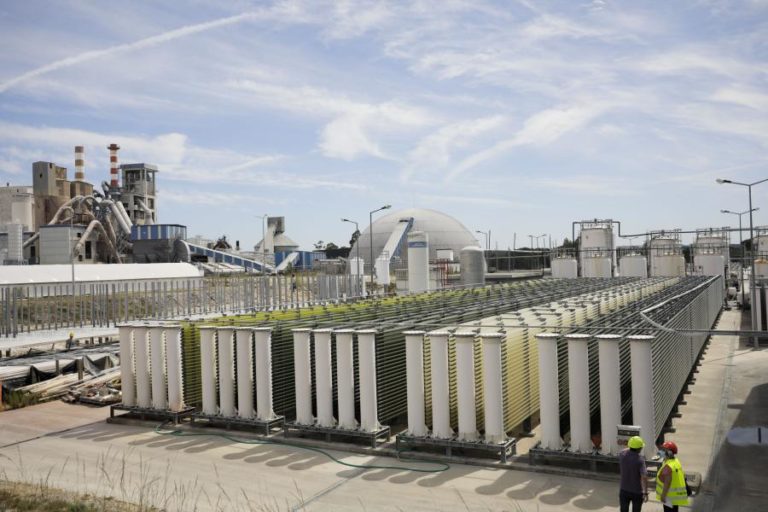 Toneladas de microalgas produzidas em Pataias usadas em alimentação e cosmética