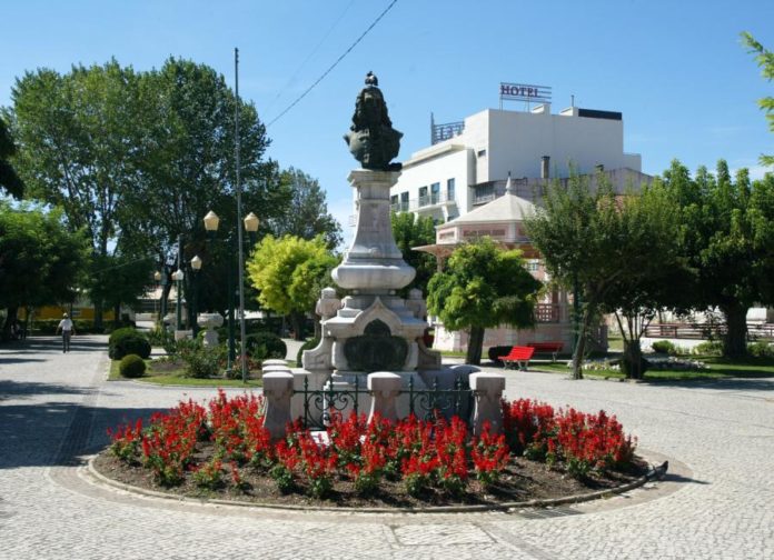 6848166.jpg