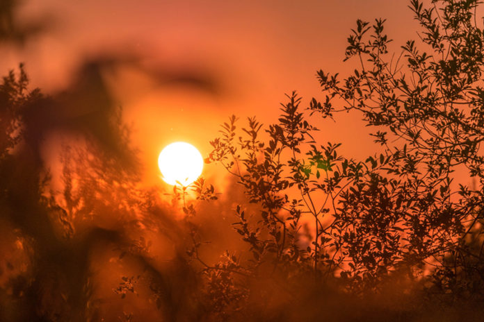 Foto: Ant Rozetsky/Unsplash Foto: Ant Rozetsky/Unsplash