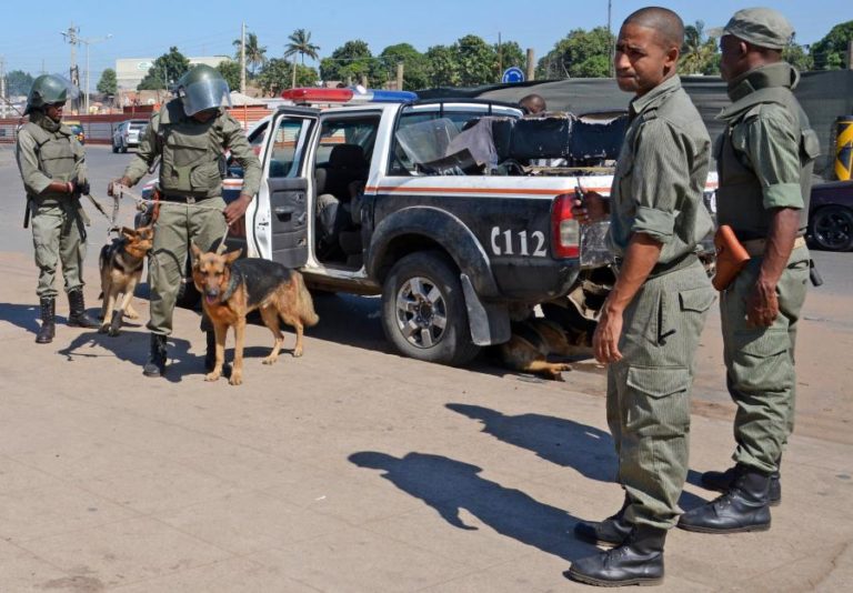 Detidos dois supostos líderes de uma rede de caça furtiva em Moçambique