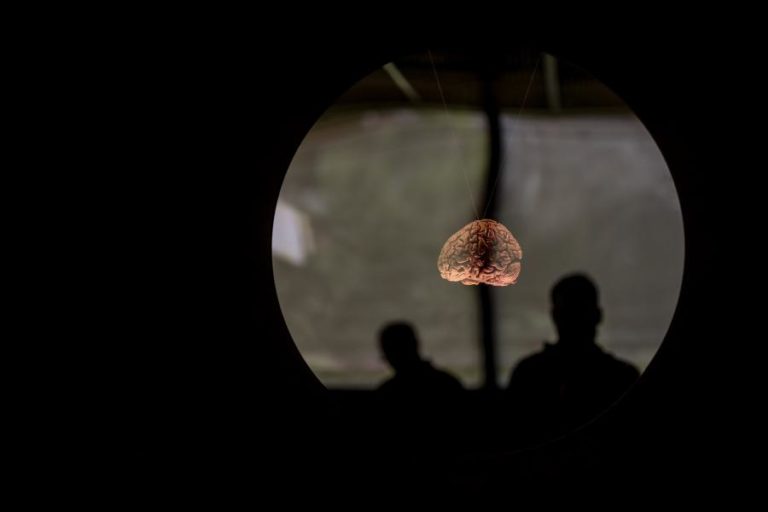 Coimbra lidera consórcio europeu com foco na prevenção de doenças cerebrovasculares