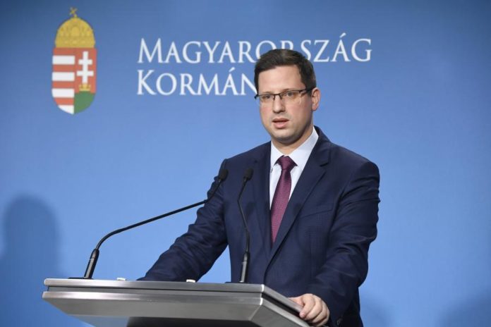 28416886.jpg