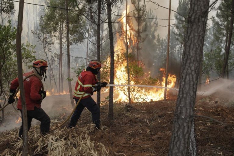 Fogos em Murça e Chaves eram os que mais meios mobilizavam às 07:00