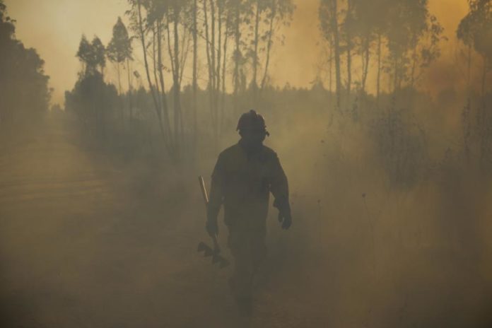 34180312.JPG