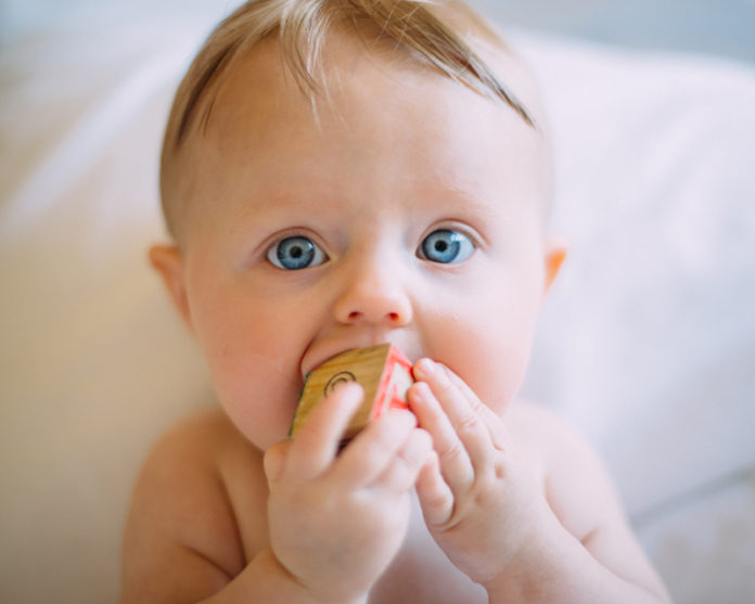 Foto: Colin Maynard/Unsplash Foto: Colin Maynard/Unsplash