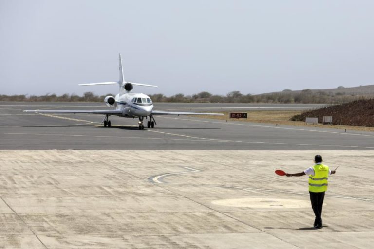 Programa com criadores de gado tenta travar ‘bird strikes’ no aeroporto da Praia