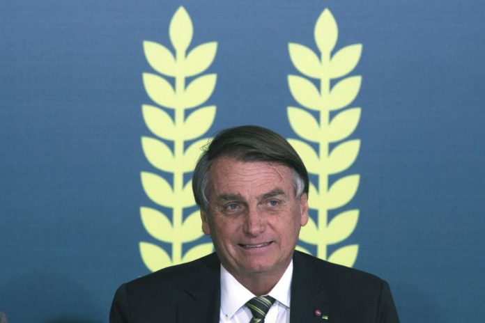 38868007.jpg