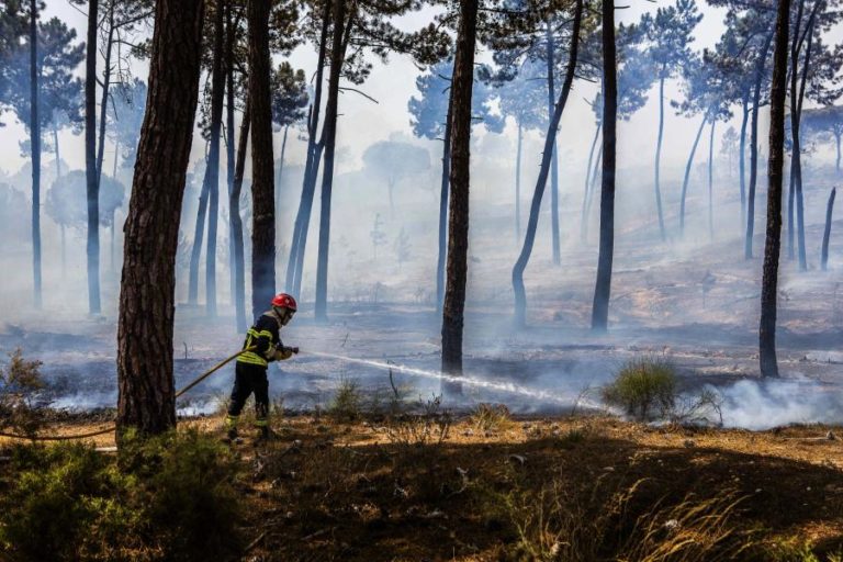Fogo que começou em Faro e se estendeu a Loulé em fase de resolução