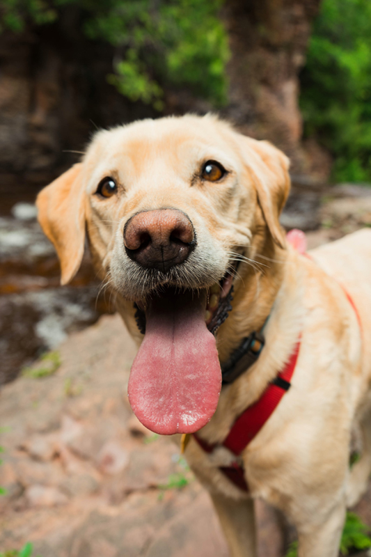 FOTO: UNSPLASH