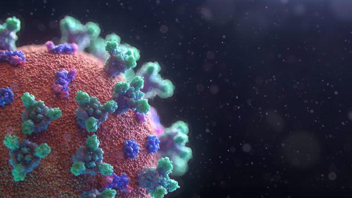 Foto: Fusion Medical Animation/Unsplash Foto: Fusion Medical Animation/Unsplash