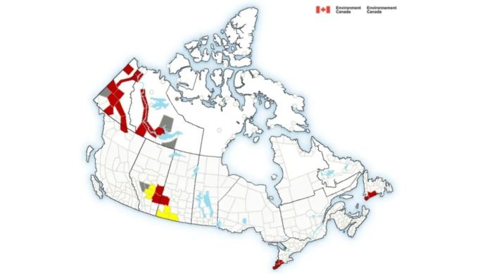 Foto: Environment Canada Foto: Environment Canada