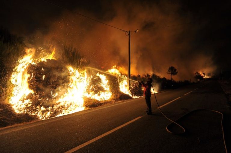Mais de 900 operacionais combatiam 21 fogos activos às 22:30