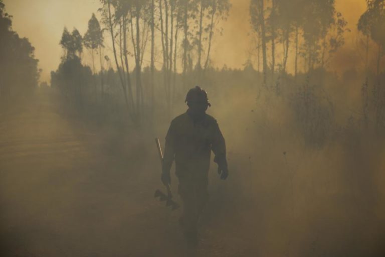 Interior Norte e Centro e região do Algarve em risco máximo de incêndio