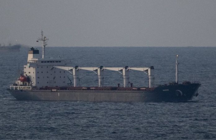 39102769.jpg