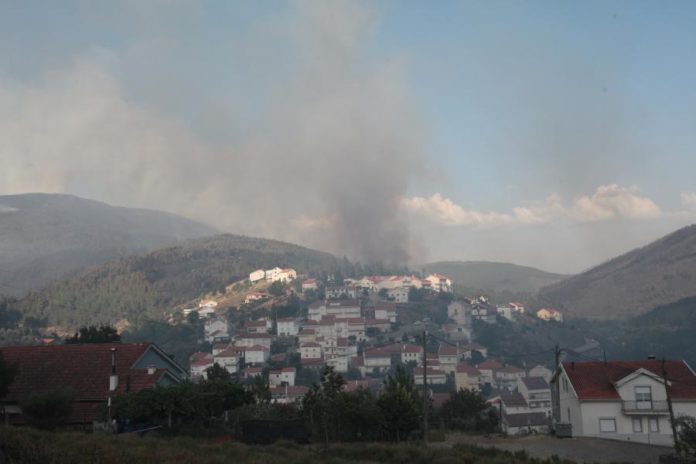 39154074.jpg