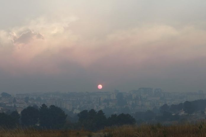 39154739.jpg