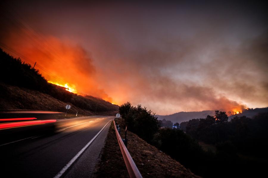 39228183.jpg