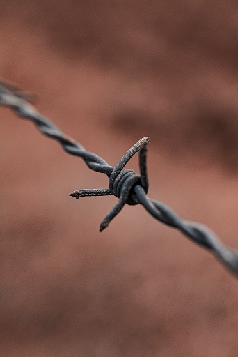 Foto: Pexels Foto: Pexels