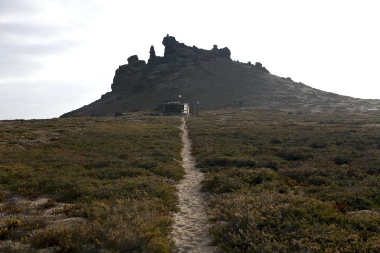 Governo quer “replicar” exemplo das Selvagens noutras áreas marinhas nacionais