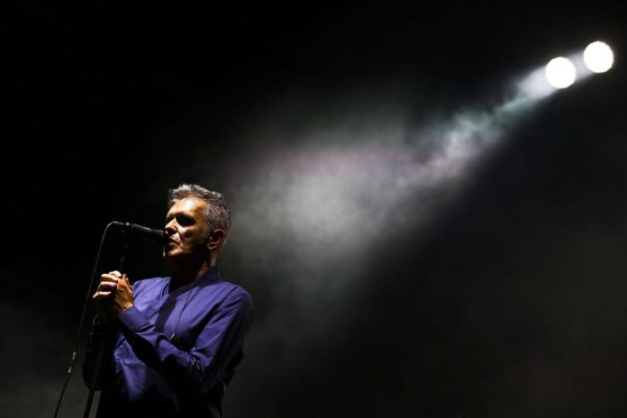 21008971.jpg