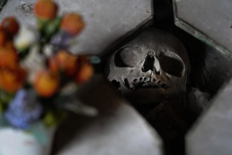 Festival MOTELX reúne em livro uma primeira história do cinema de terror português